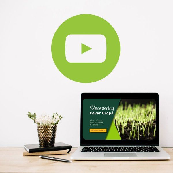 A laptop is open to a youtube video about uncovering cover crops