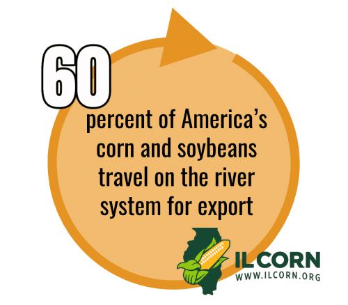 60 percent of america 's corn and soybeans travel on the river system for export