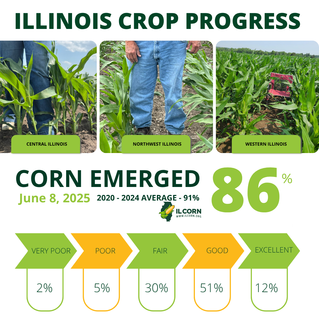 Illinois crop progress report: Corn emerged (86%) with growth stages photos and condition ratings from very poor to excellent.