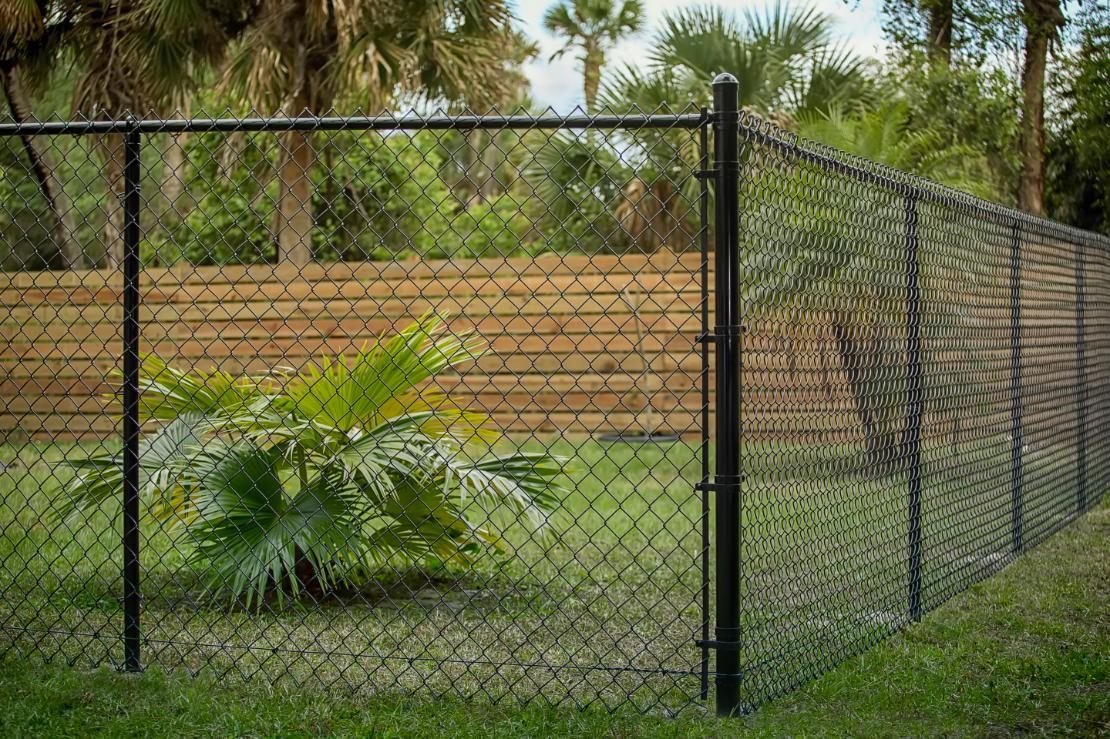 Black chain-link fence with privacy slats encloses a grassy area with a small plant. Trees in the background.