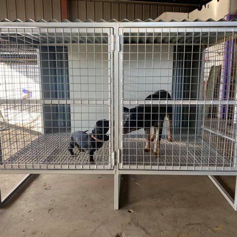 Dog Cage — Steel Fabricators in Dubbo, NSW