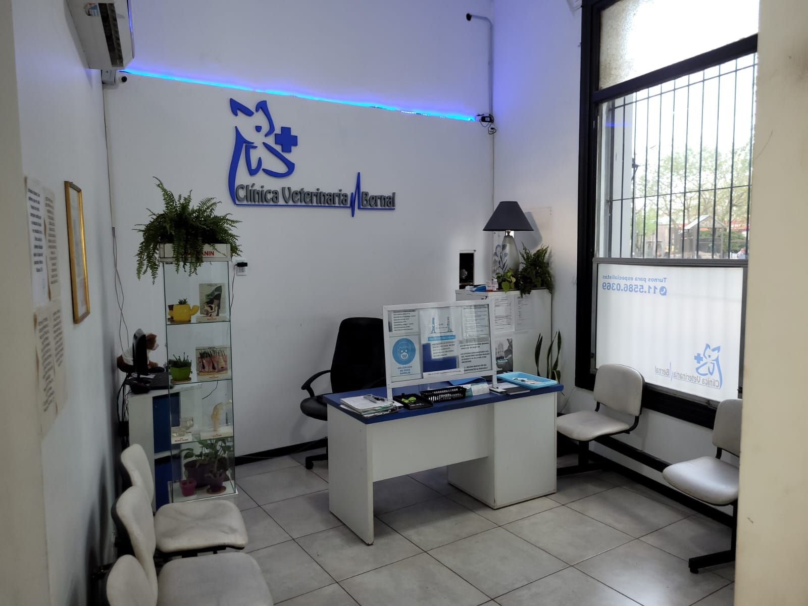 Clinica Veterinaria Bernal