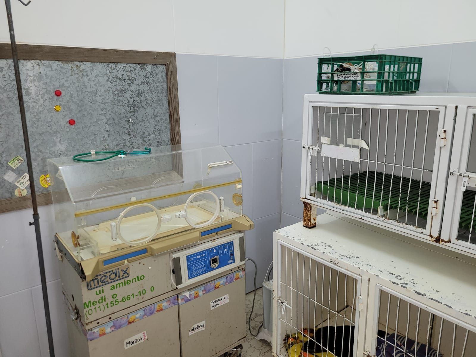 Clinica Veterinaria Bernal