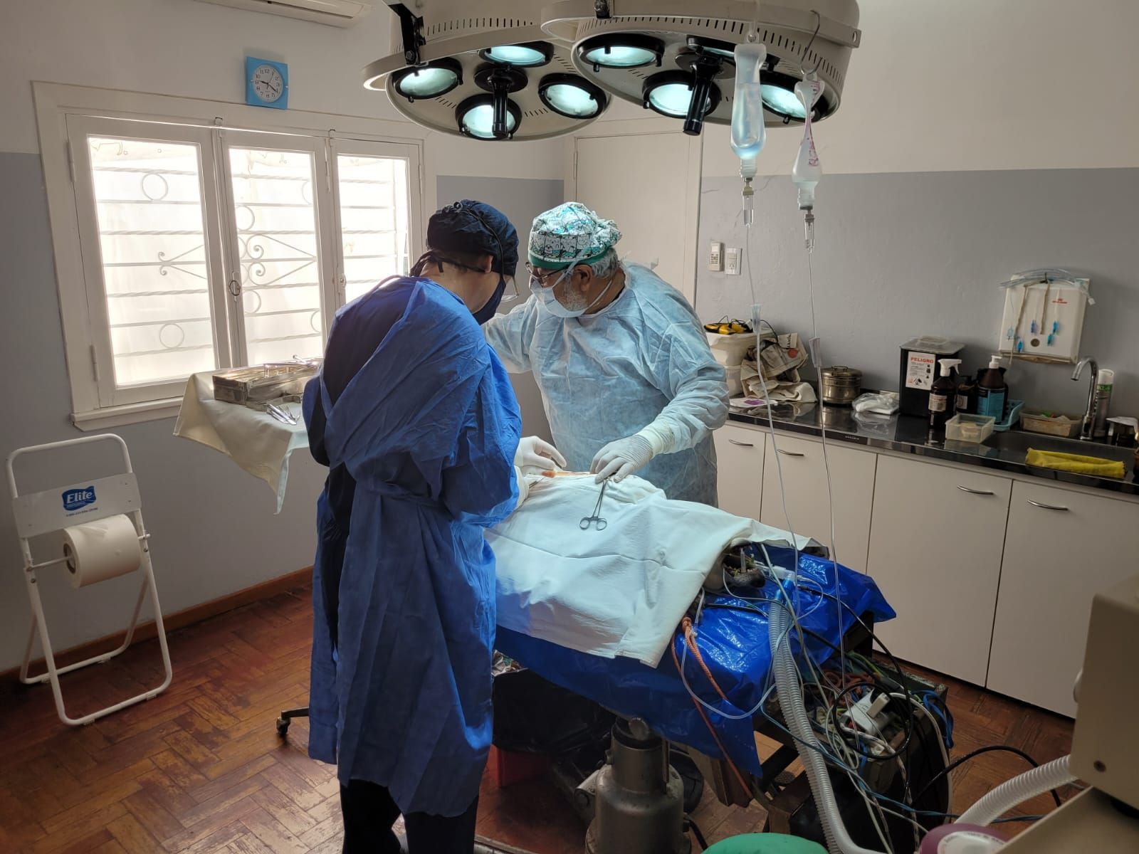 Clinica Veterinaria Bernal