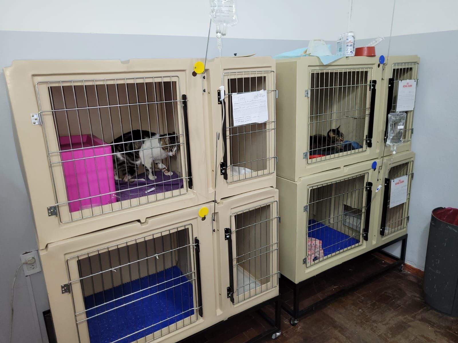 Clinica Veterinaria Bernal