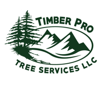 Top Tree Services in Ohio Valley | Timber Pro