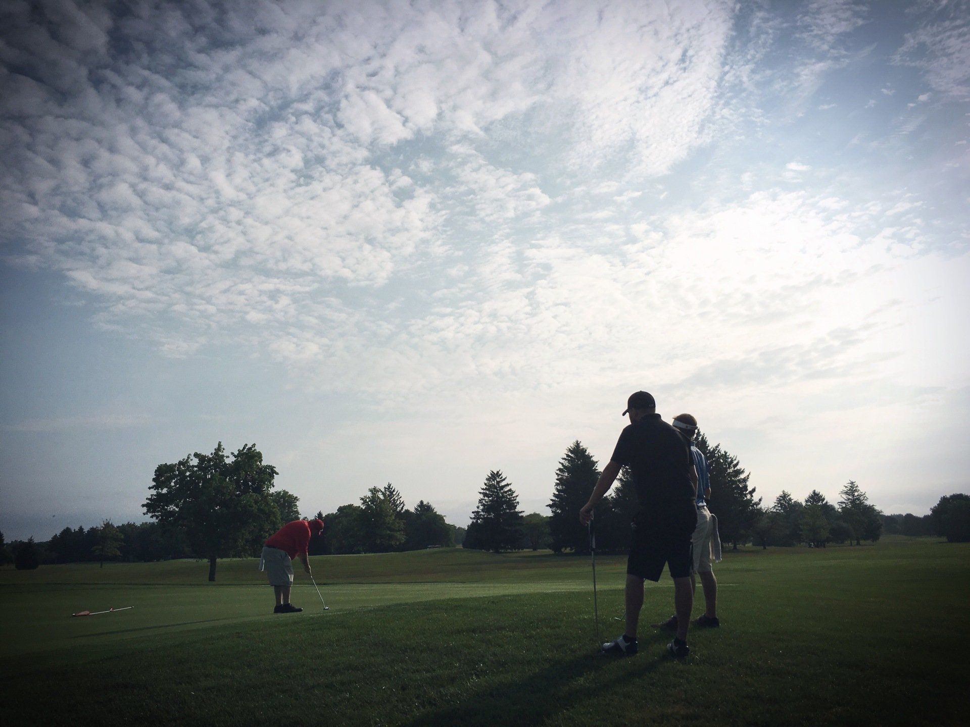 A group of people are playing golf on a sunny day