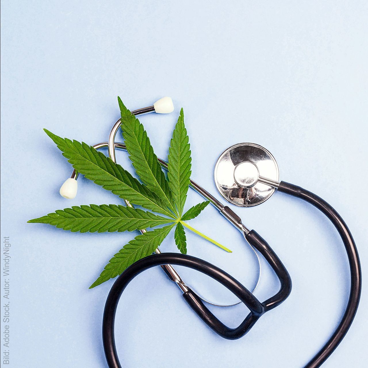 Bild von medizinischem Cannabis