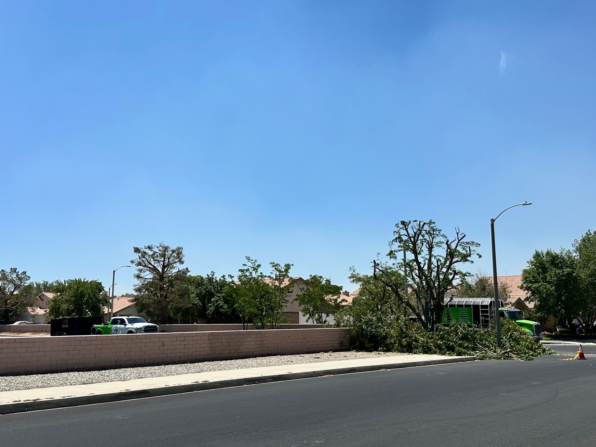 A tree pruned and debris beside a road under a clear blue sky. A wall and houses are in the background.