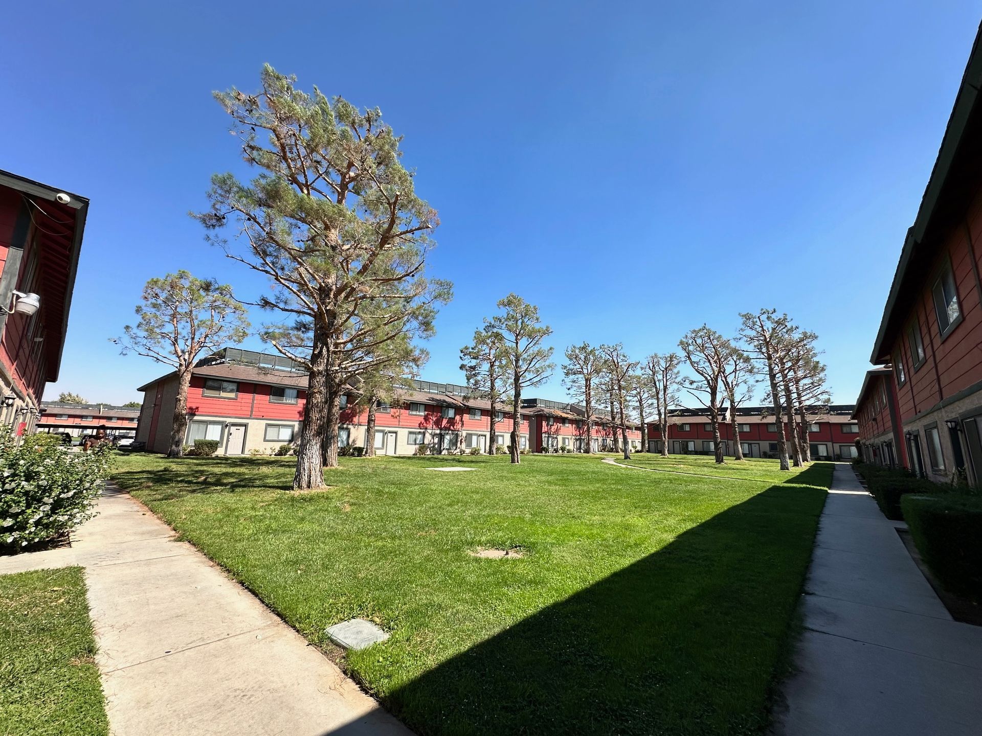A courtyard with green grass and trees surrounded by two-story apartment buildings under a bright blue sky.