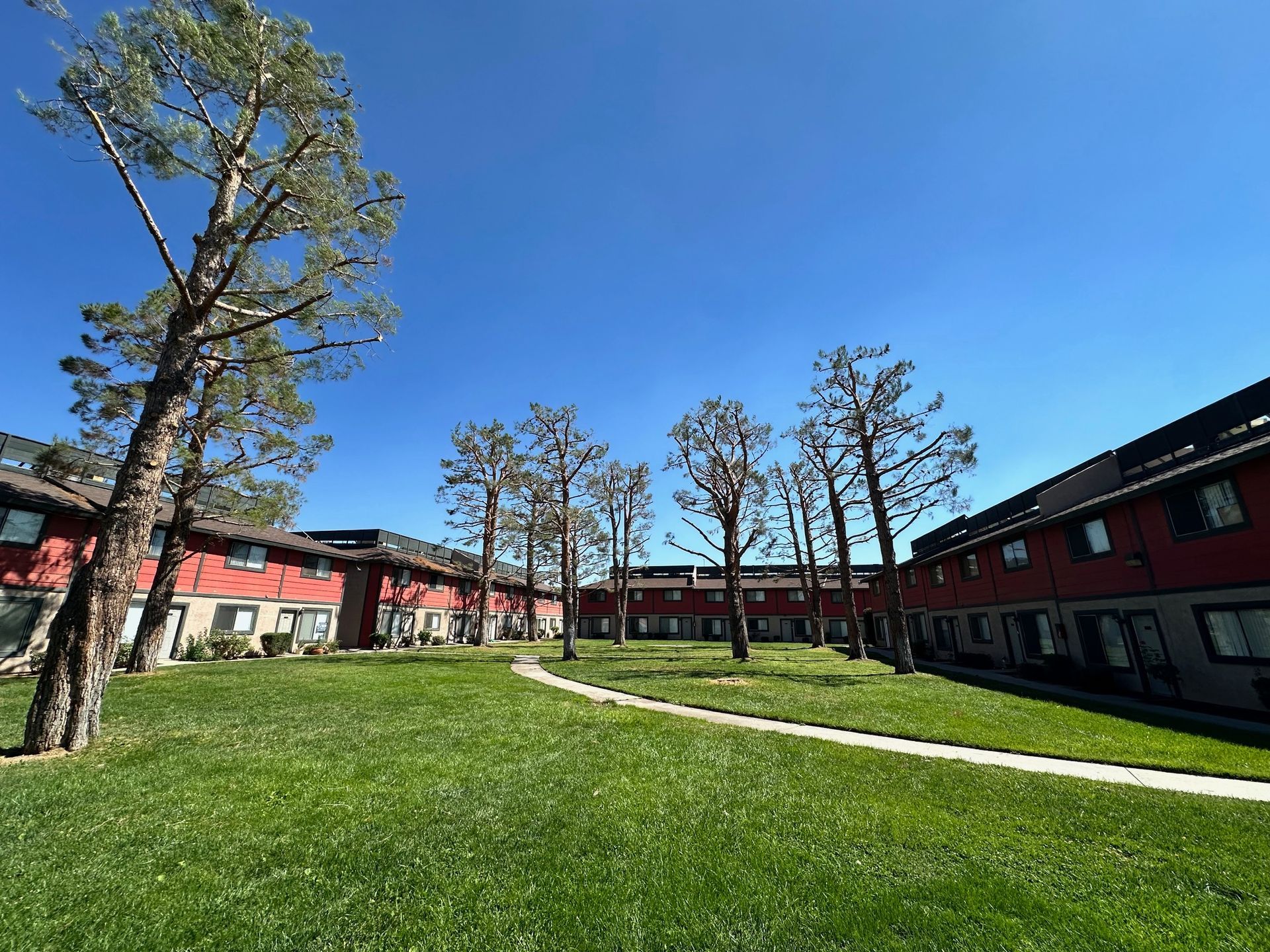 A sunny courtyard with a grassy lawn, trees, and red-painted apartment buildings under a clear blue sky.