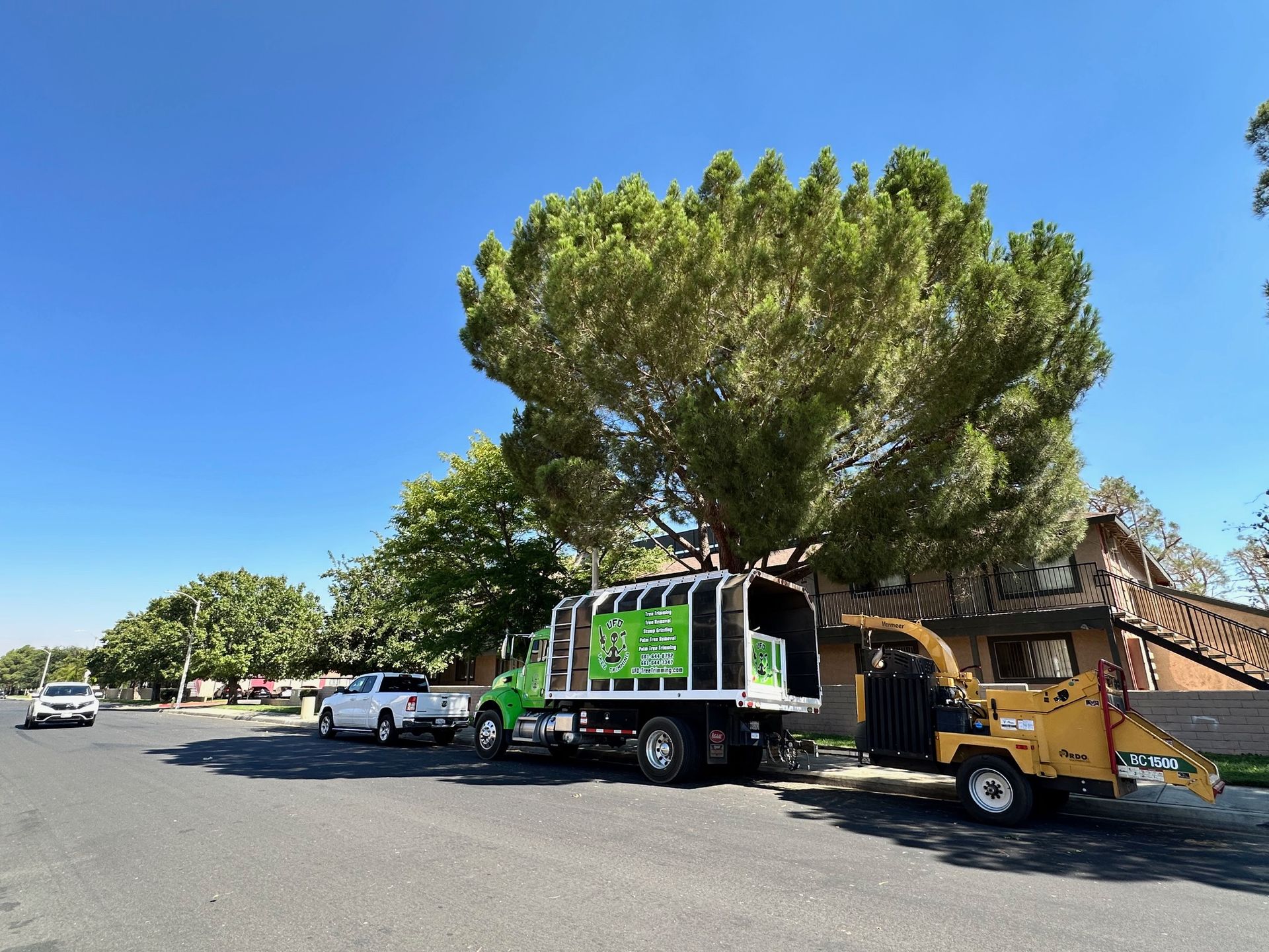Tree removal truck with chipper parked on a residential street; blue sky, green truck, white pickup, and large tree.
