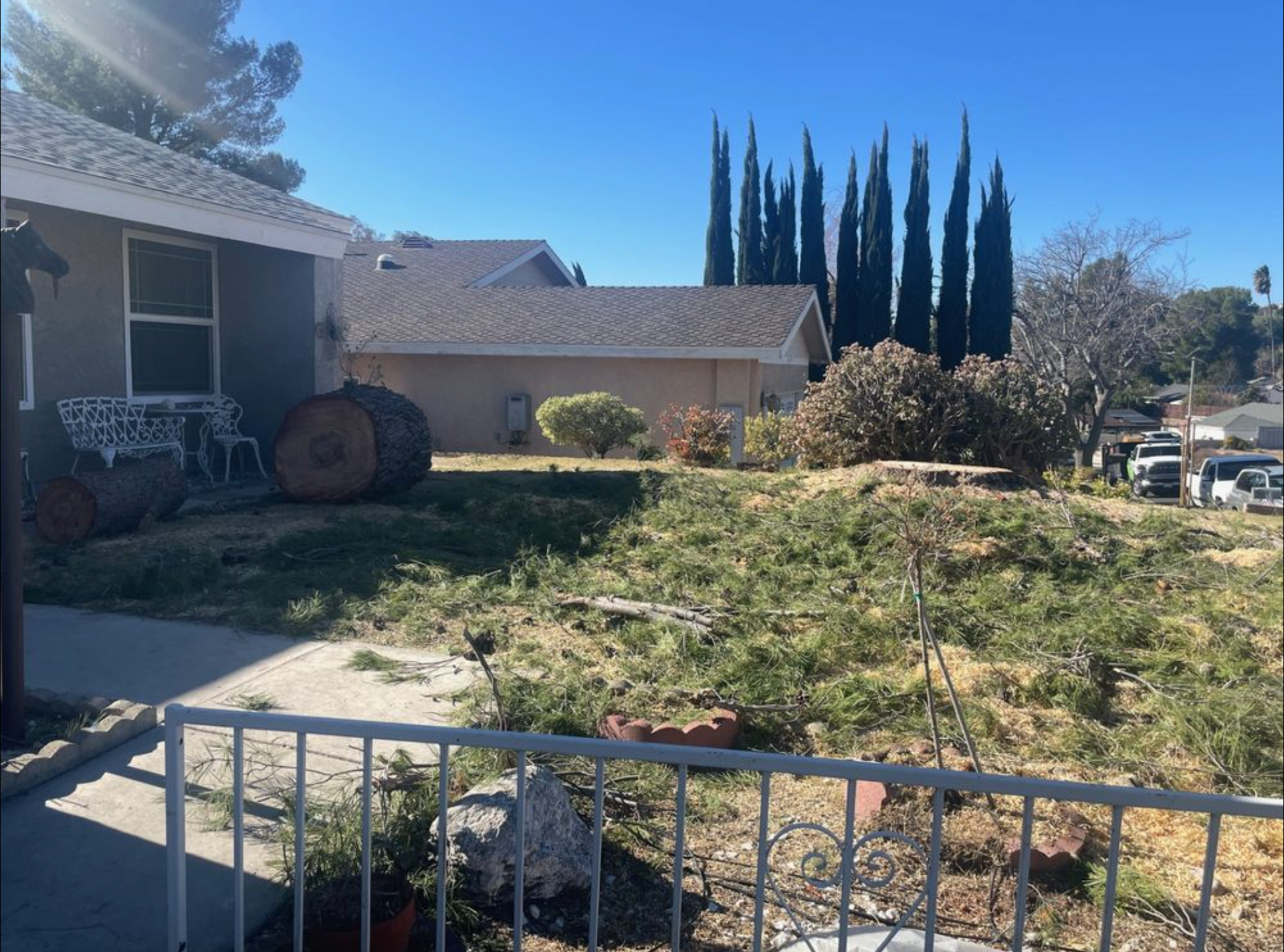 Front yard with patchy grass, tall cypress trees, and a house under a clear blue sky