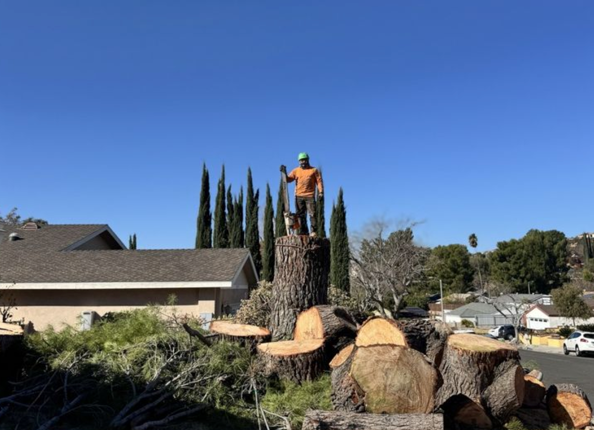 A machine is cutting a tree stump in the ground.