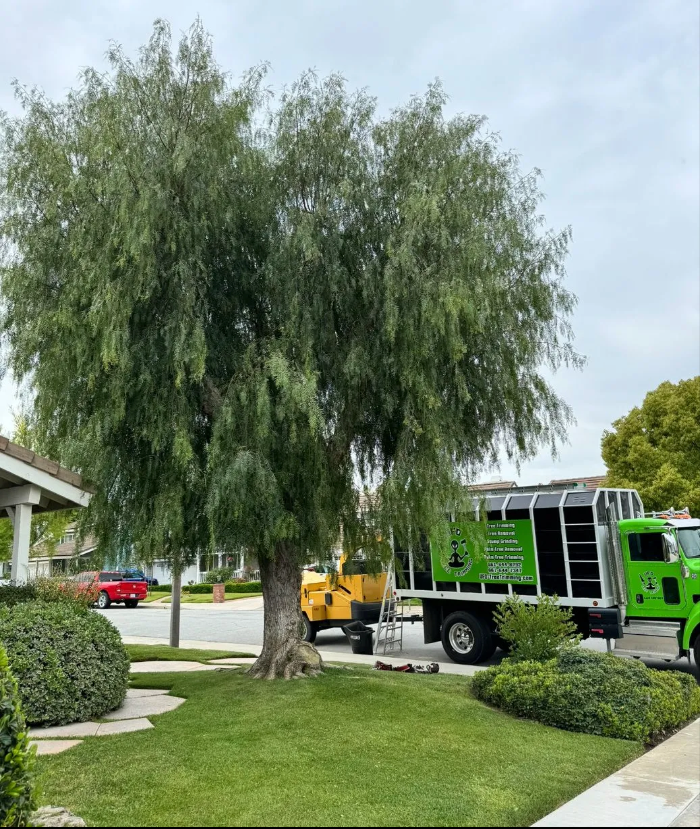 Green garbage truck parked by a large willow tree in a suburban yard.