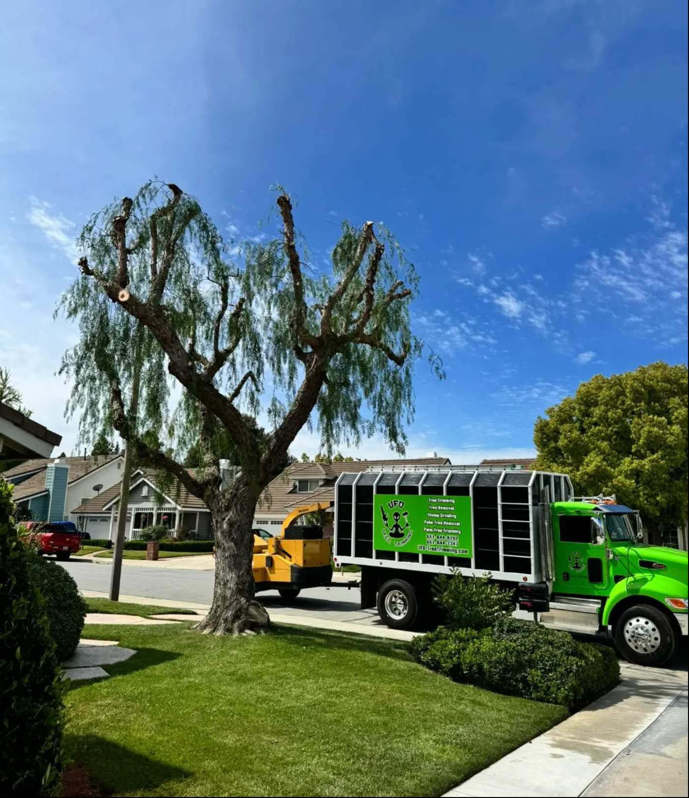 Green waste truck parked on a suburban street beside a leafless tree under a blue sky.