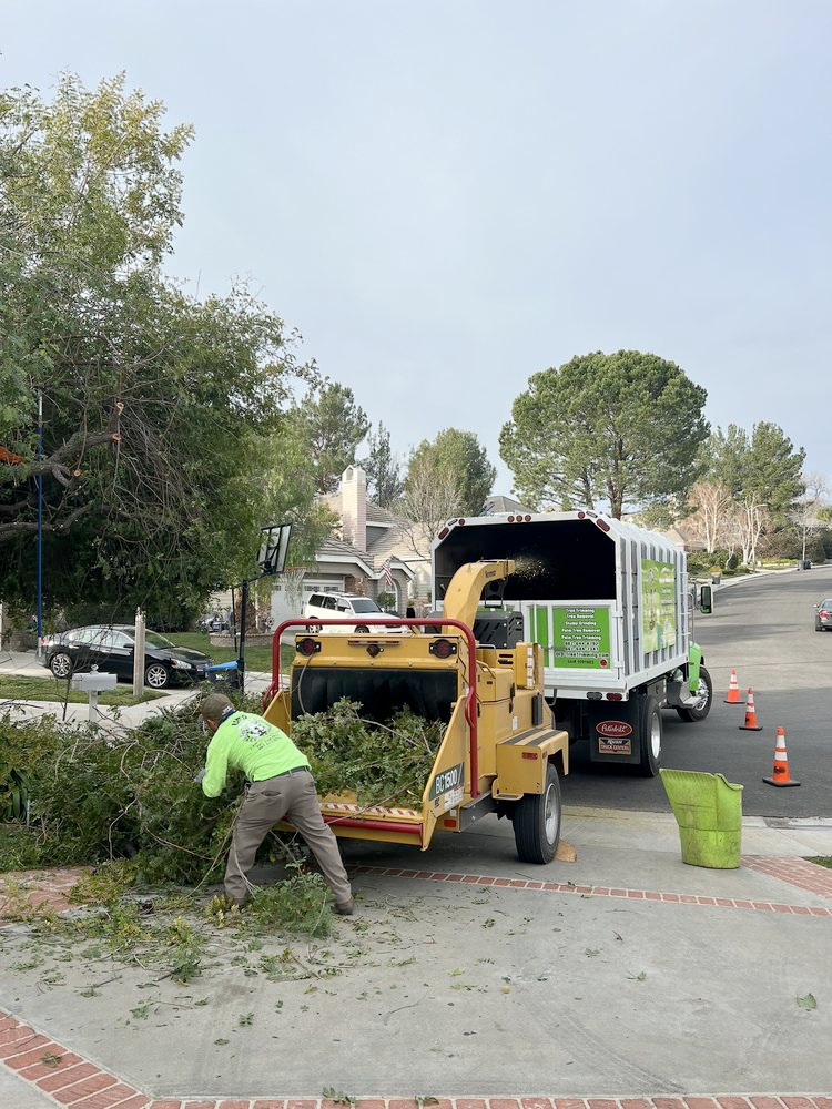 A man is working on a tree chipper in front of a truck.