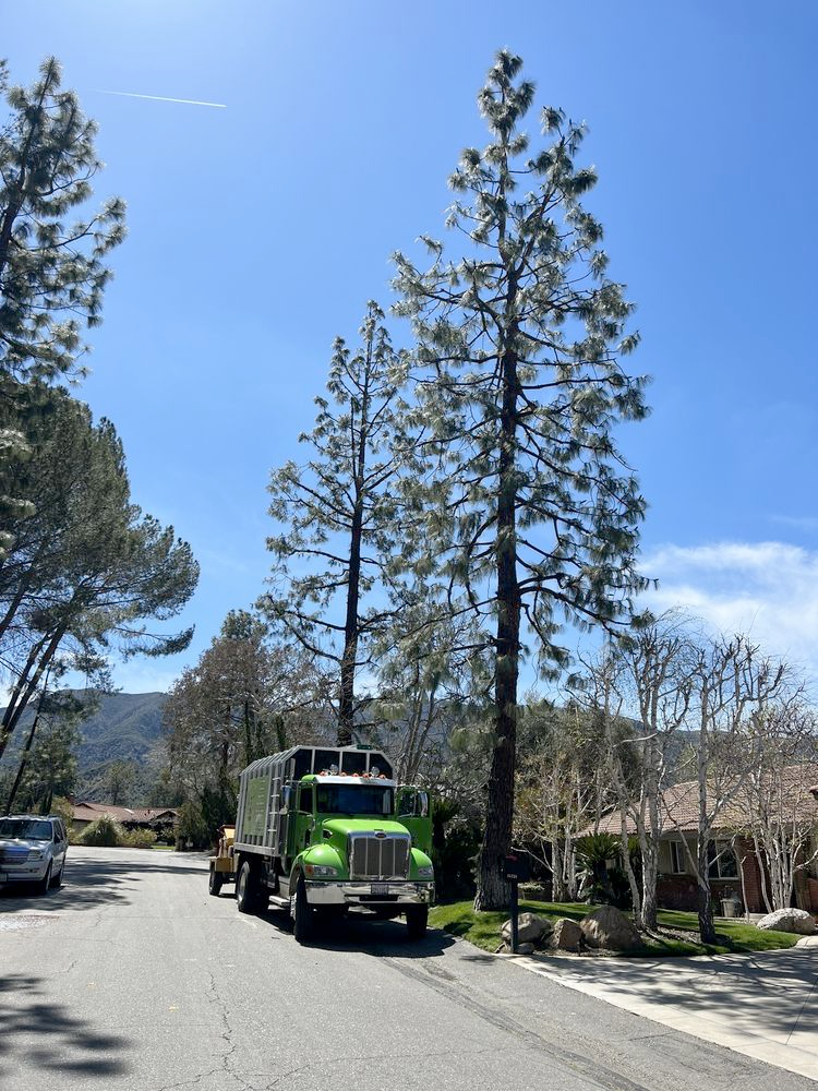 A green truck is driving down a street next to trees