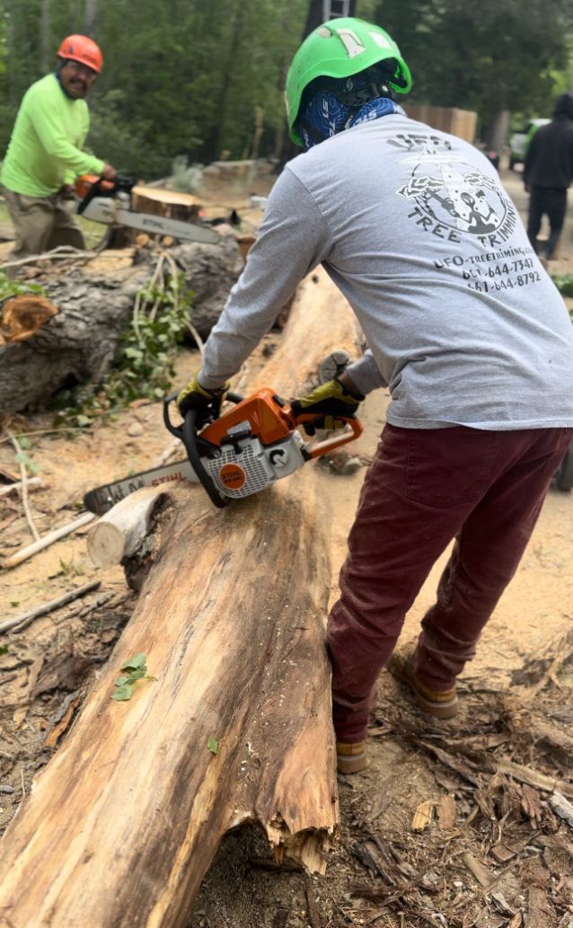 A man is cutting a large log with a chainsaw.
