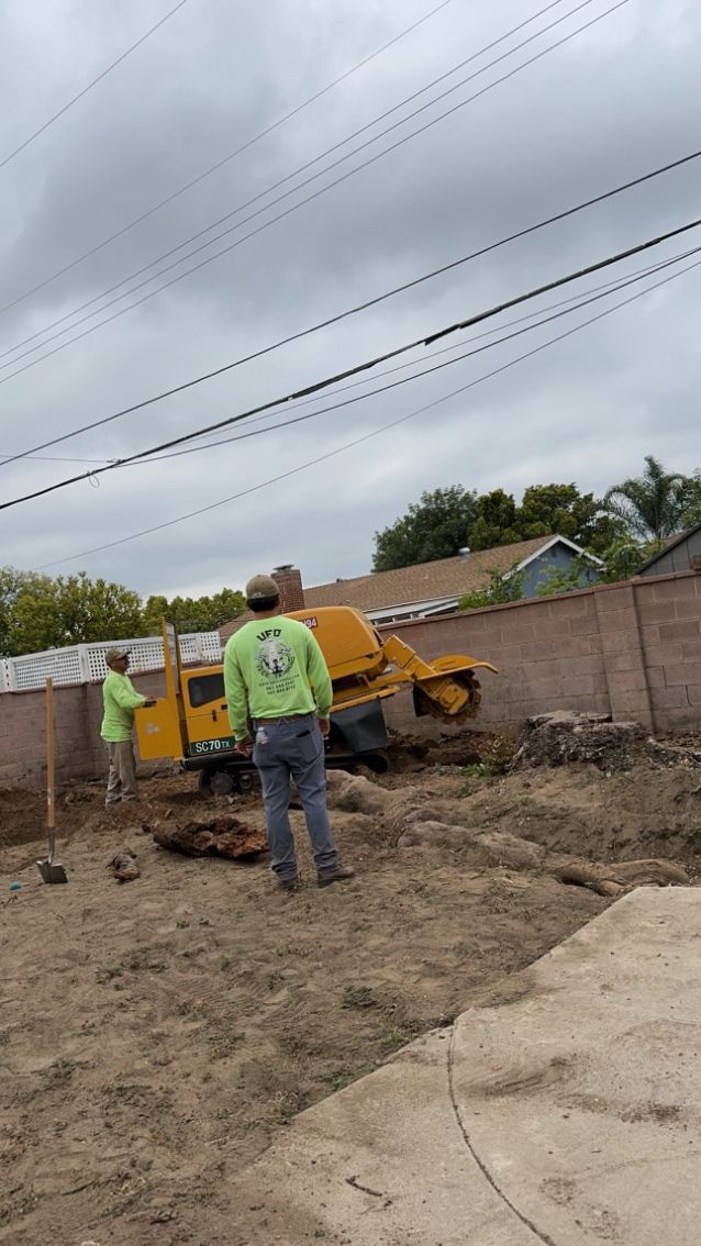 A man is standing in a dirt field next to a yellow truck.