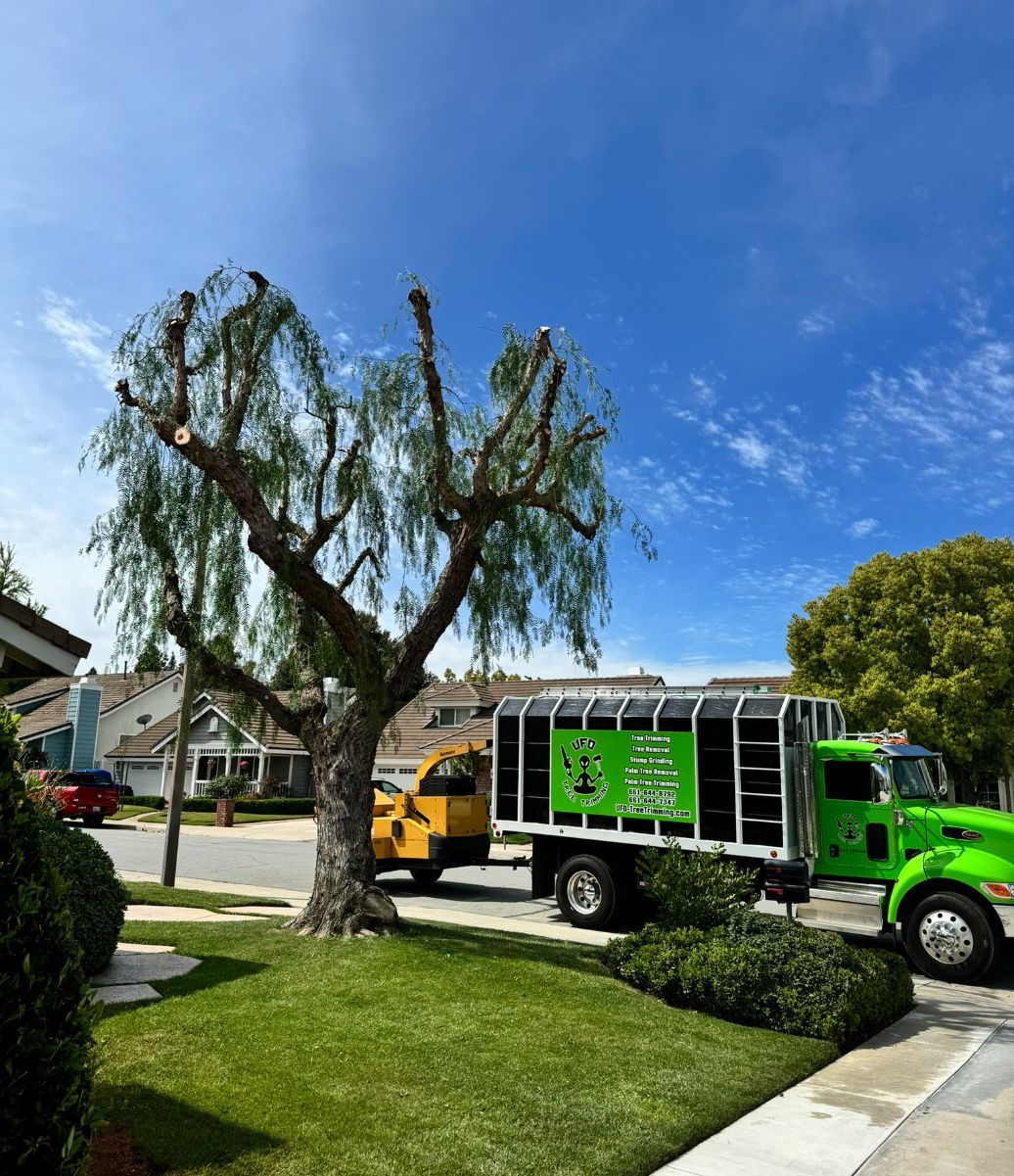 A green truck is parked on the side of the road next to a tree.