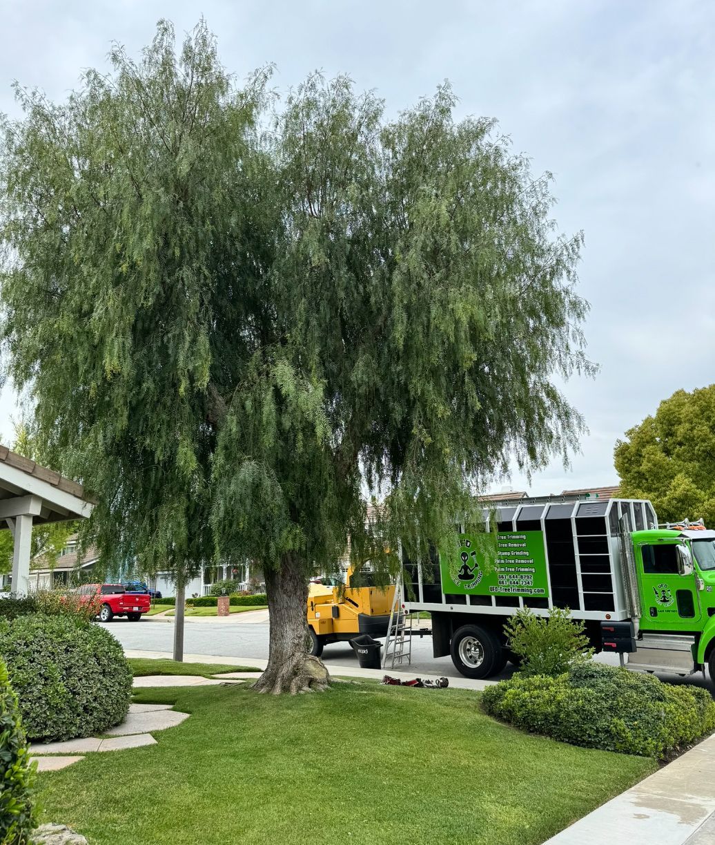 A green truck is parked in front of a tree in a yard.