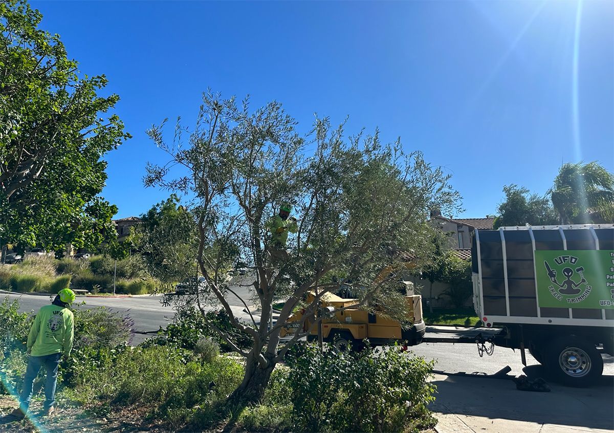 A man is standing next to a truck that is cutting a tree.