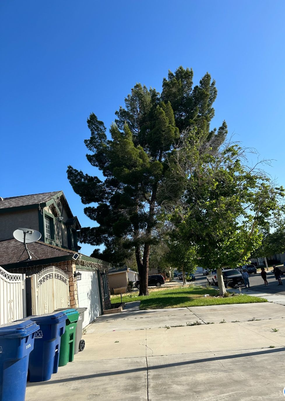 A row of trash cans are lined up in front of a house