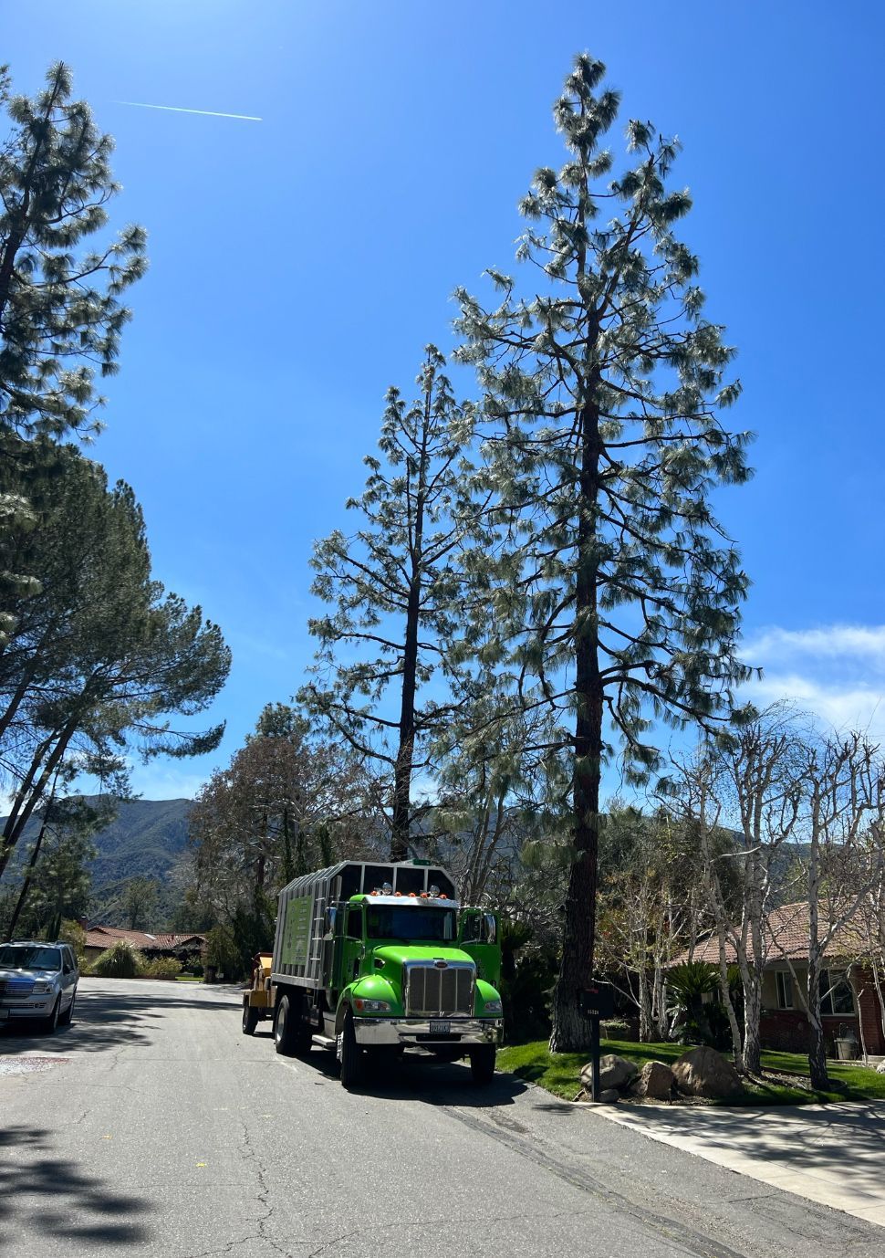 A green truck is driving down a street next to trees