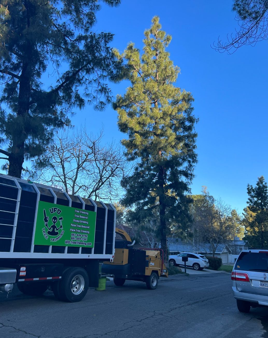 A tree chipper is parked in front of a large tree