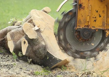 A machine is cutting a tree stump in the ground.