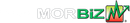MorBiz logo