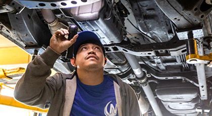 A man is climbing up a tree with yellow flowers.