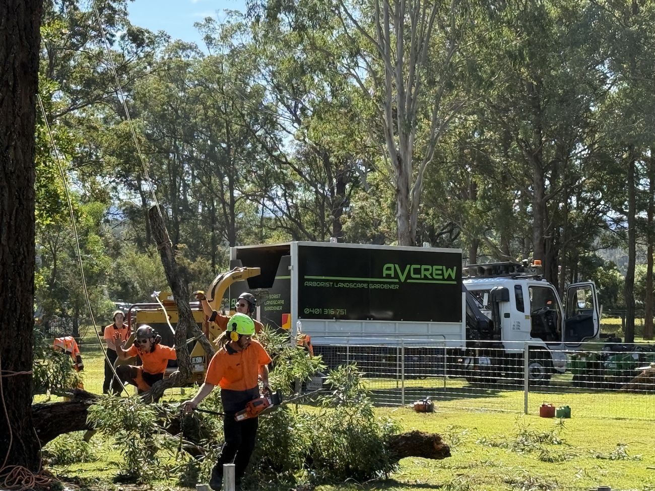 A Garbage Truck Is Being Used To Remove A Tree — Alex's Vegetation in Port Macquarie, NSW