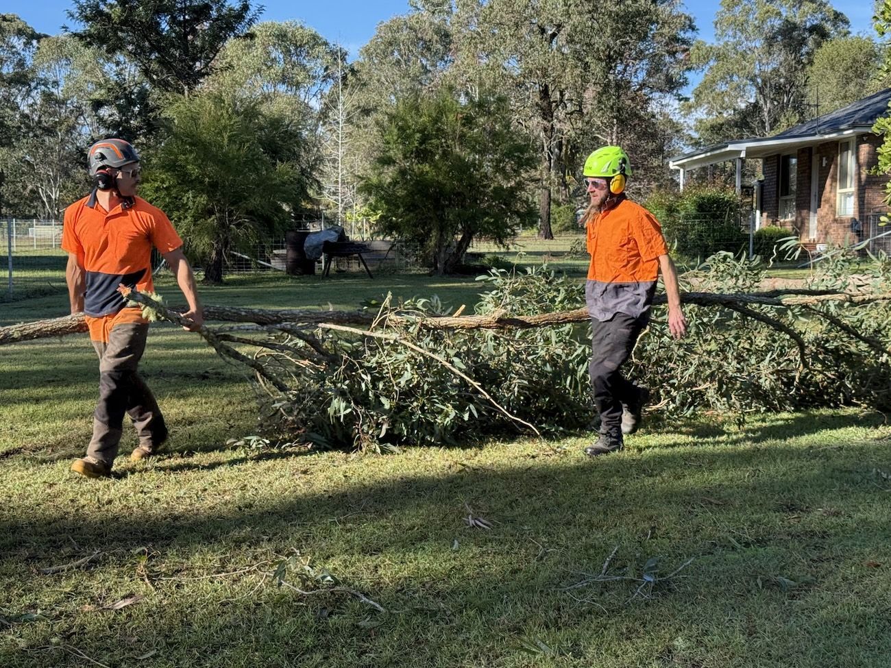 A Man is removing a tree — Alex's Vegetation in Lake Cathie, NSW
