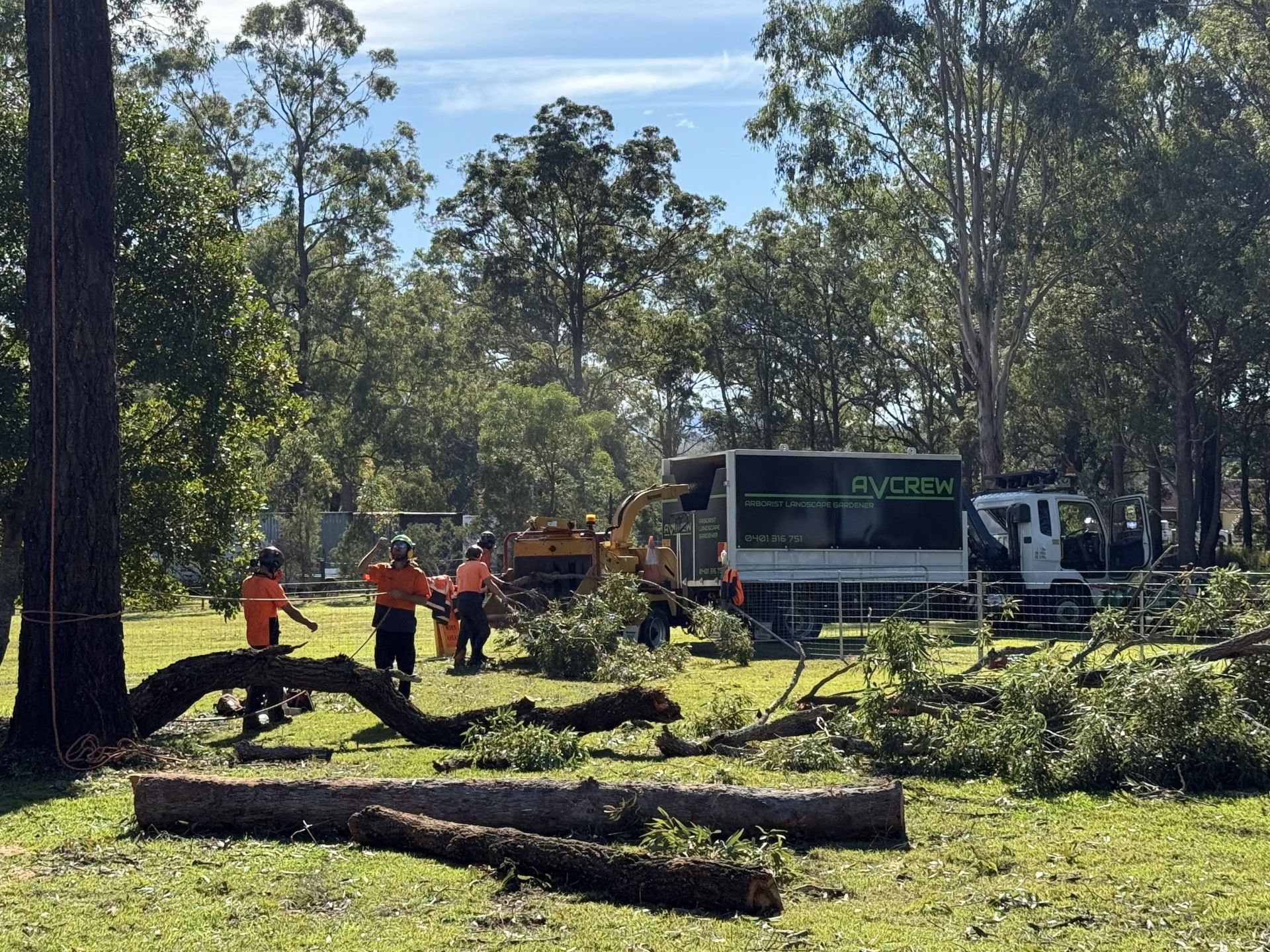 Two Men Are Cutting Trees In A Field In Front Of A Building — Alex's Vegetation in Laurieton, NSW