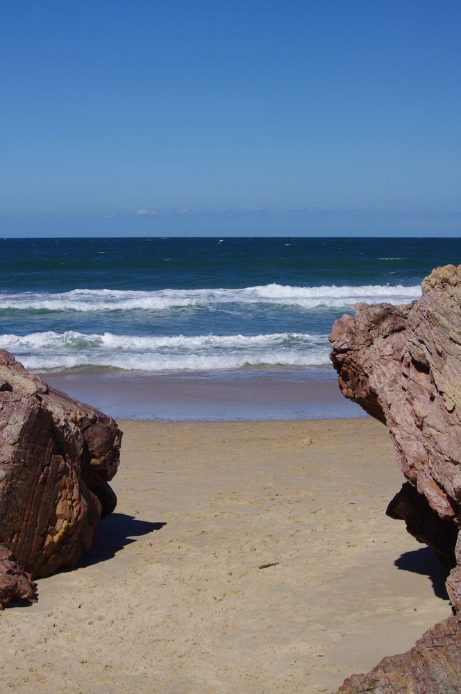 A beach with rocks in the foreground and the ocean in the background — Alex's Vegetation in Bonny Hills, NSW