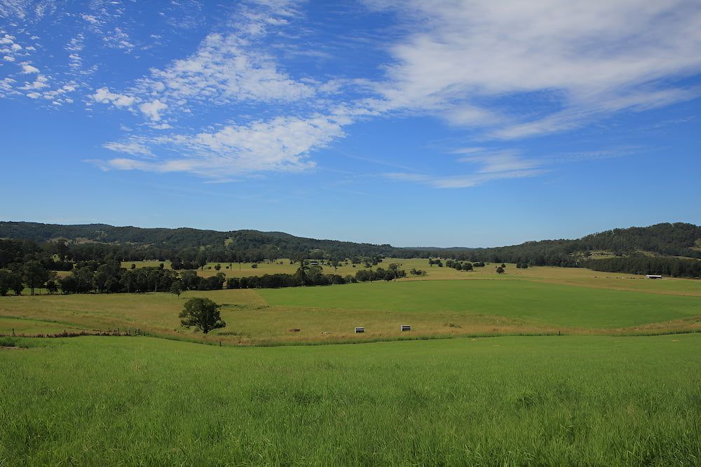 A Large Green Field With Trees And A Blue Sky With Clouds — Alex's Vegetation in Wauchope, NSW