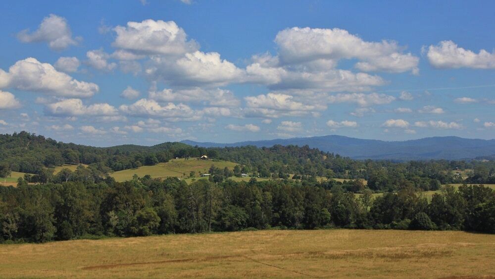 There Are Mountains And A Field In The Foreground — Alex's Vegetation in Wauchope, NSW
