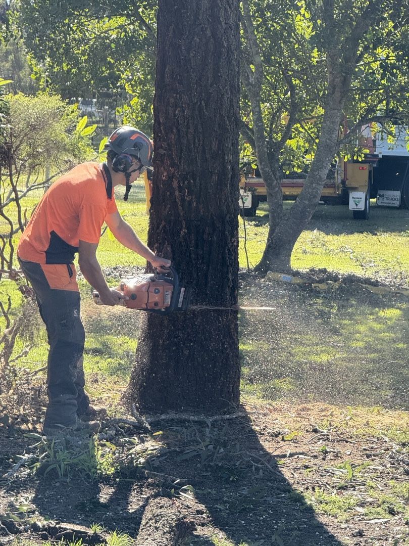A Tree Is Being Cut Down by a chainsaw — Alex's Vegetation in Lake Cathie, NSW