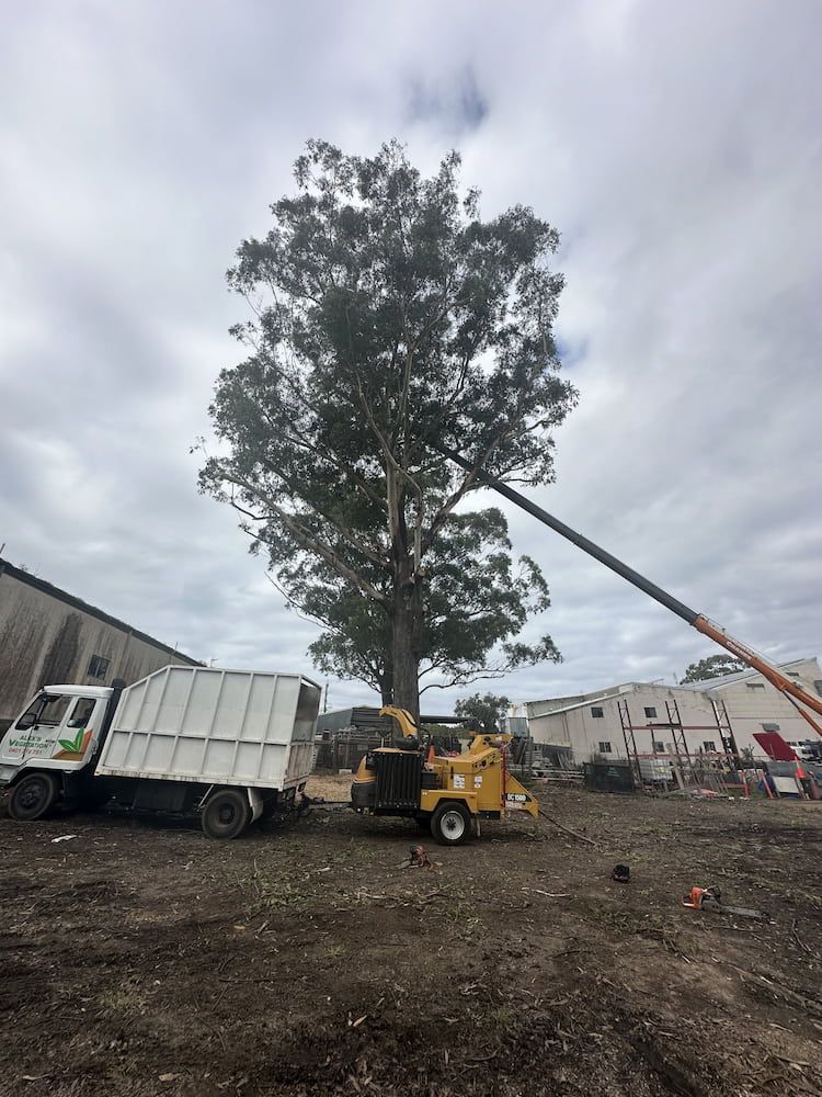 A Garbage Truck Is Being Used To Remove A Tree — Alex's Vegetation in Port Macquarie, NSW