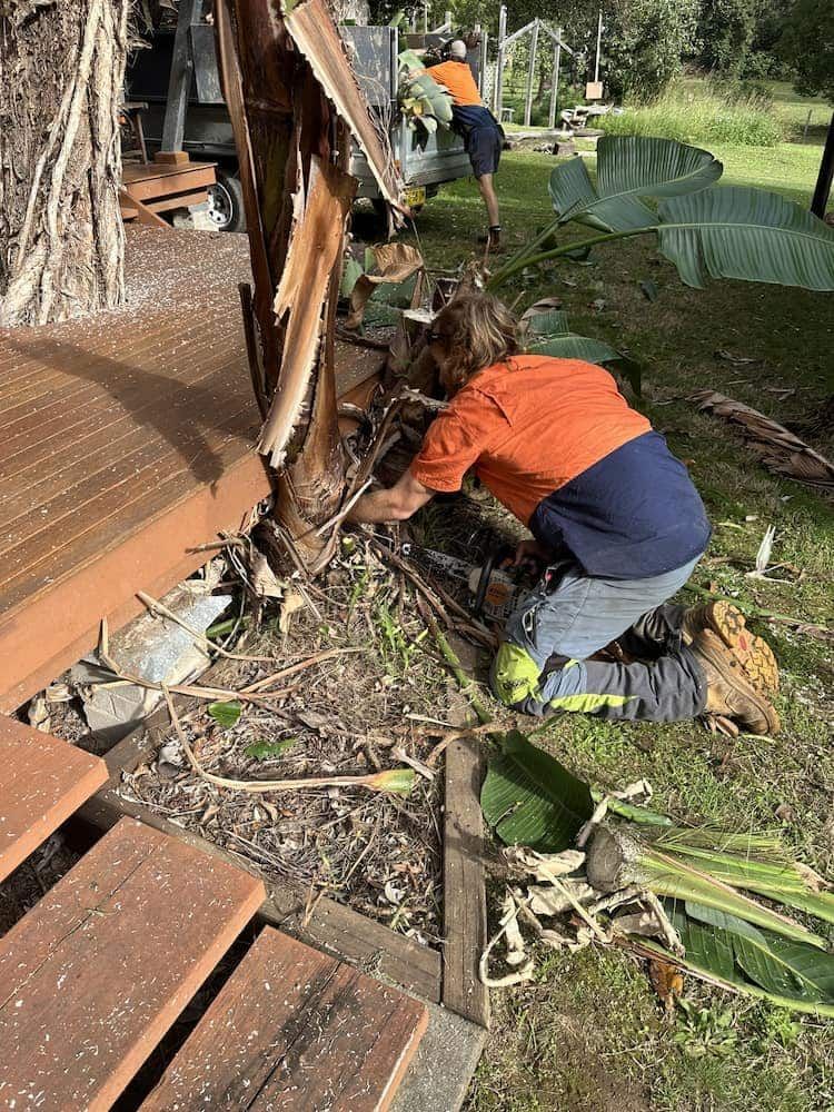A Man Is Kneeling Down In The Grass Next To A Tree — Alex's Vegetation in Port Macquarie, NSW