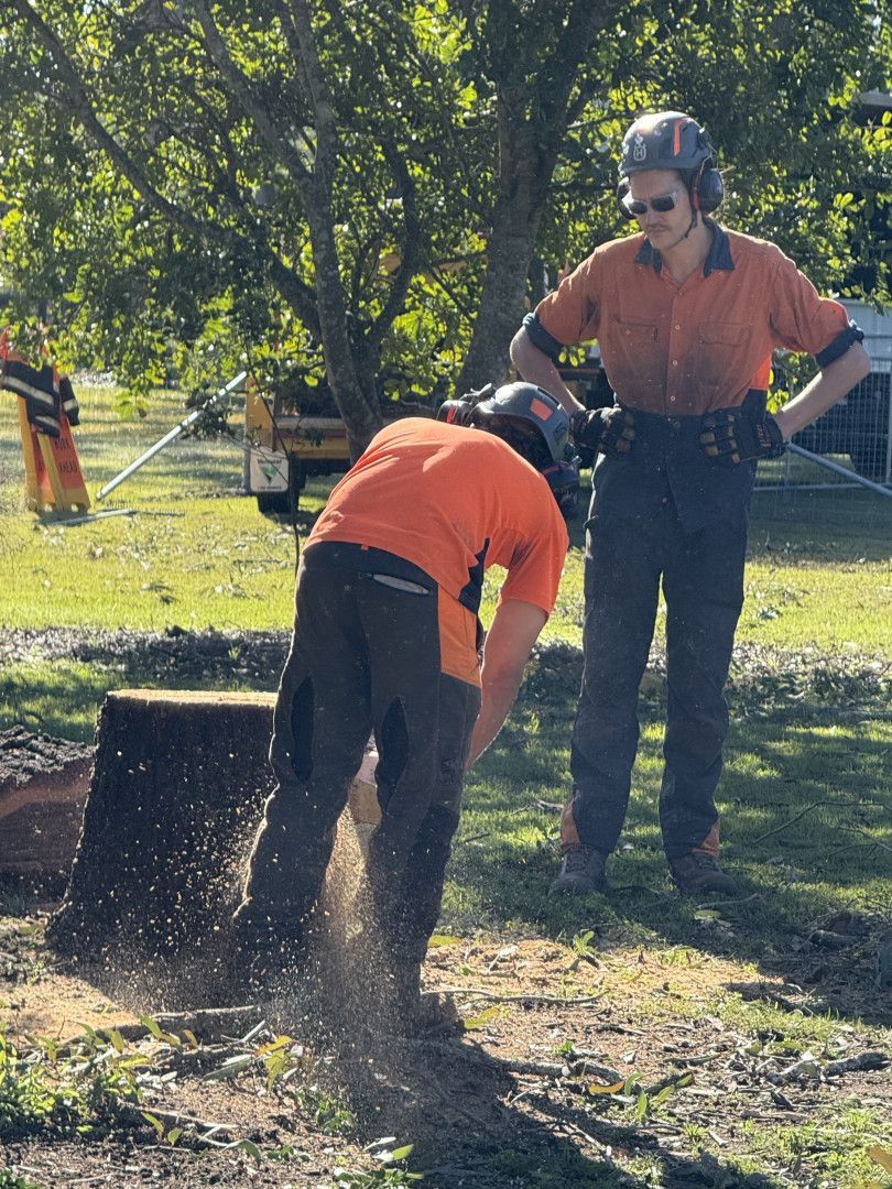 Tree being removed by machinery  — Alex's Vegetation in Port Macquarie, NSW