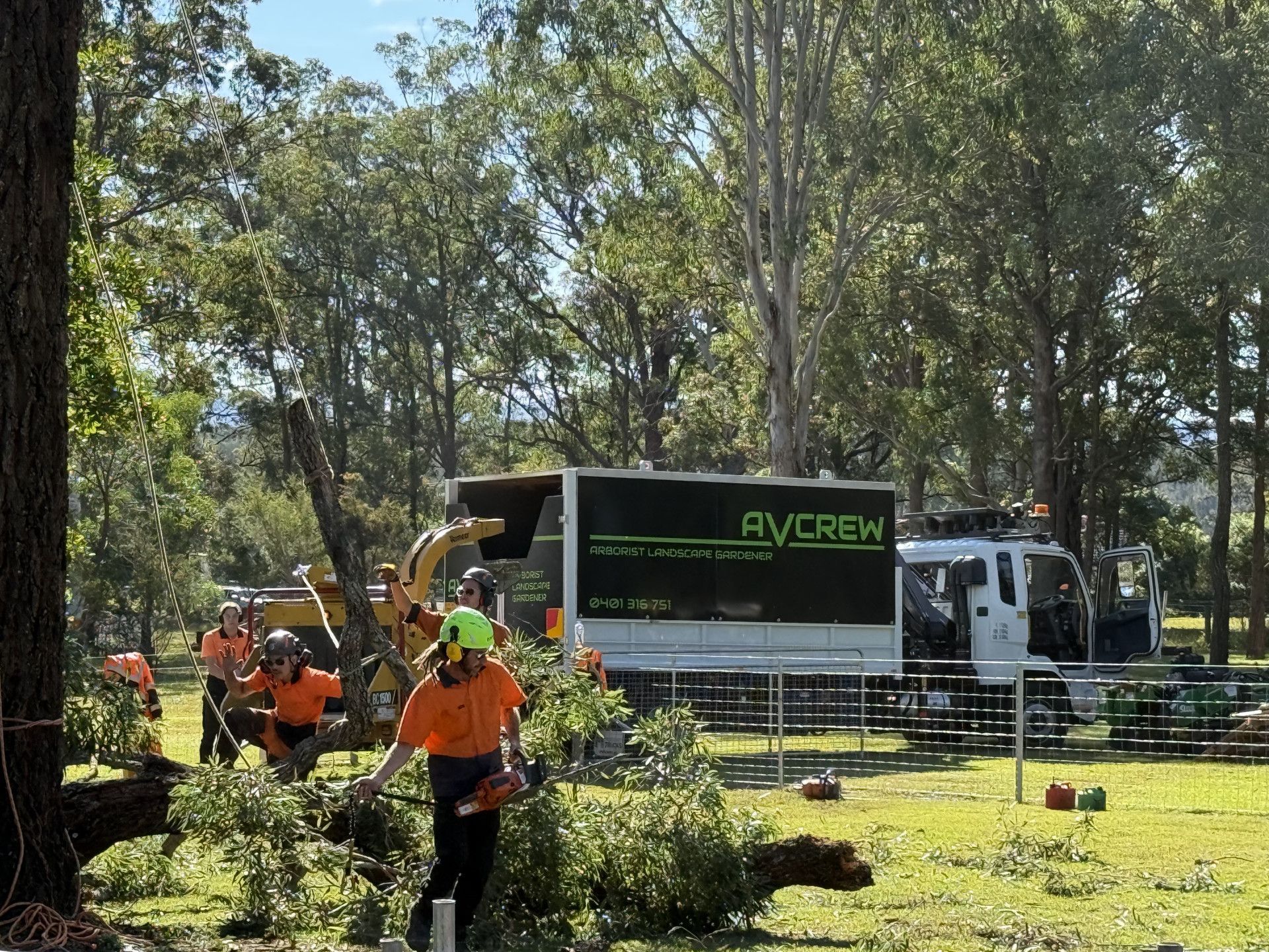 Crew Cleaning up a cut down tree— Alex's Vegetation in Port Macquarie, NSW