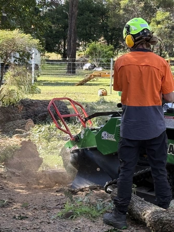 A Tree Stump is being removed by machinery  — Alex's Vegetation in Port Macquarie, NSW