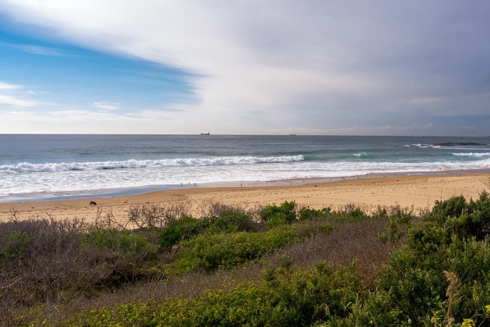 A beach with trees and bushes surrounding it and a large body of water in the background. — Alex's Vegetation in Bonny Hills, NSW