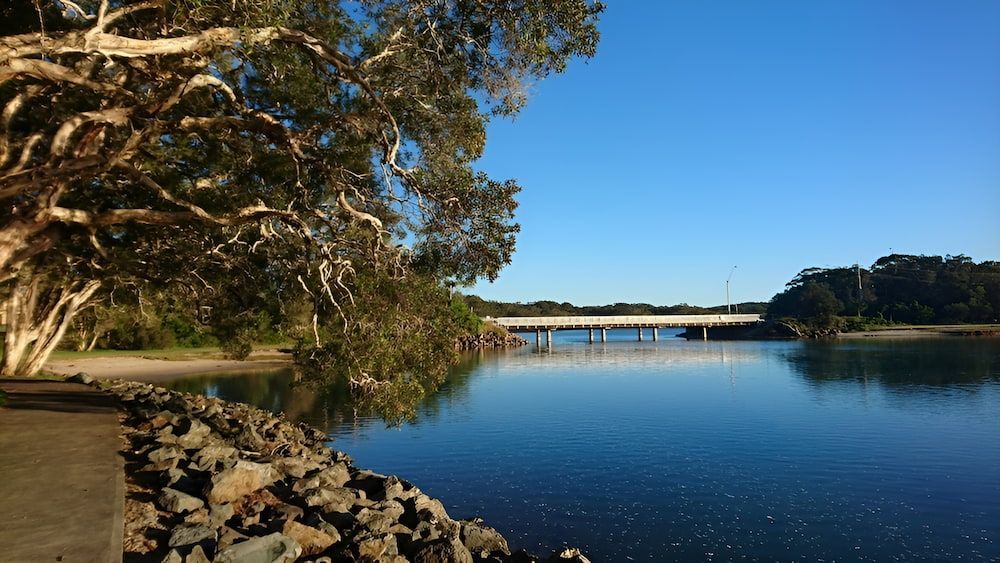 A Bridge Over A Body Of Water With Trees — Alex's Vegetation in Lake Cathie, NSW