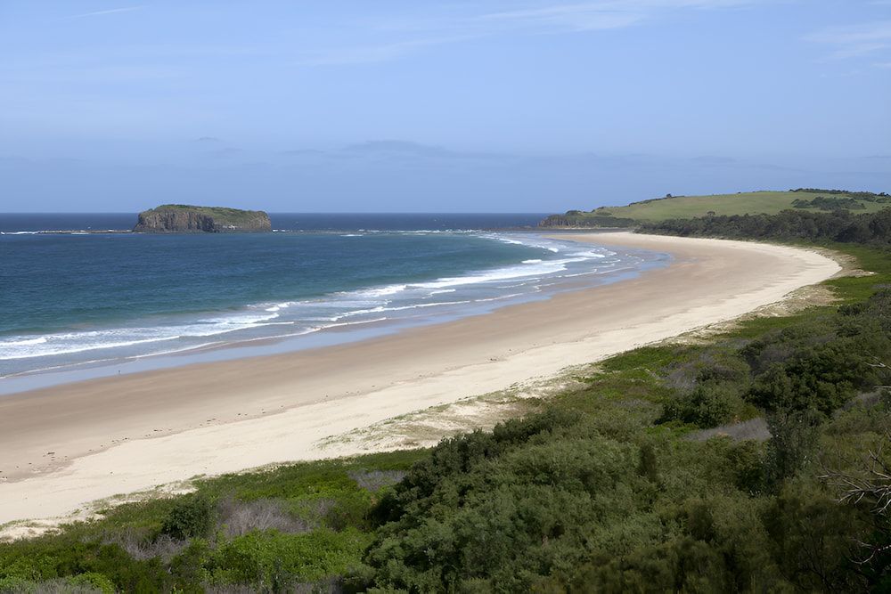 A Long Sandy Beach With A Small Island In The Distance — Alex's Vegetation in Lake Cathie, NSW