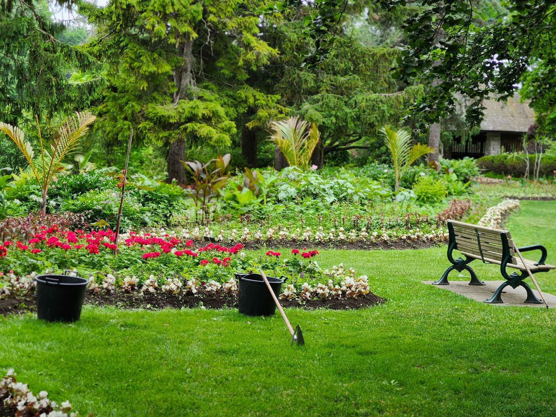 A Patio With A Couch, Chairs, Tables And Plants — Alex's Vegetation in Port Macquarie, NSW