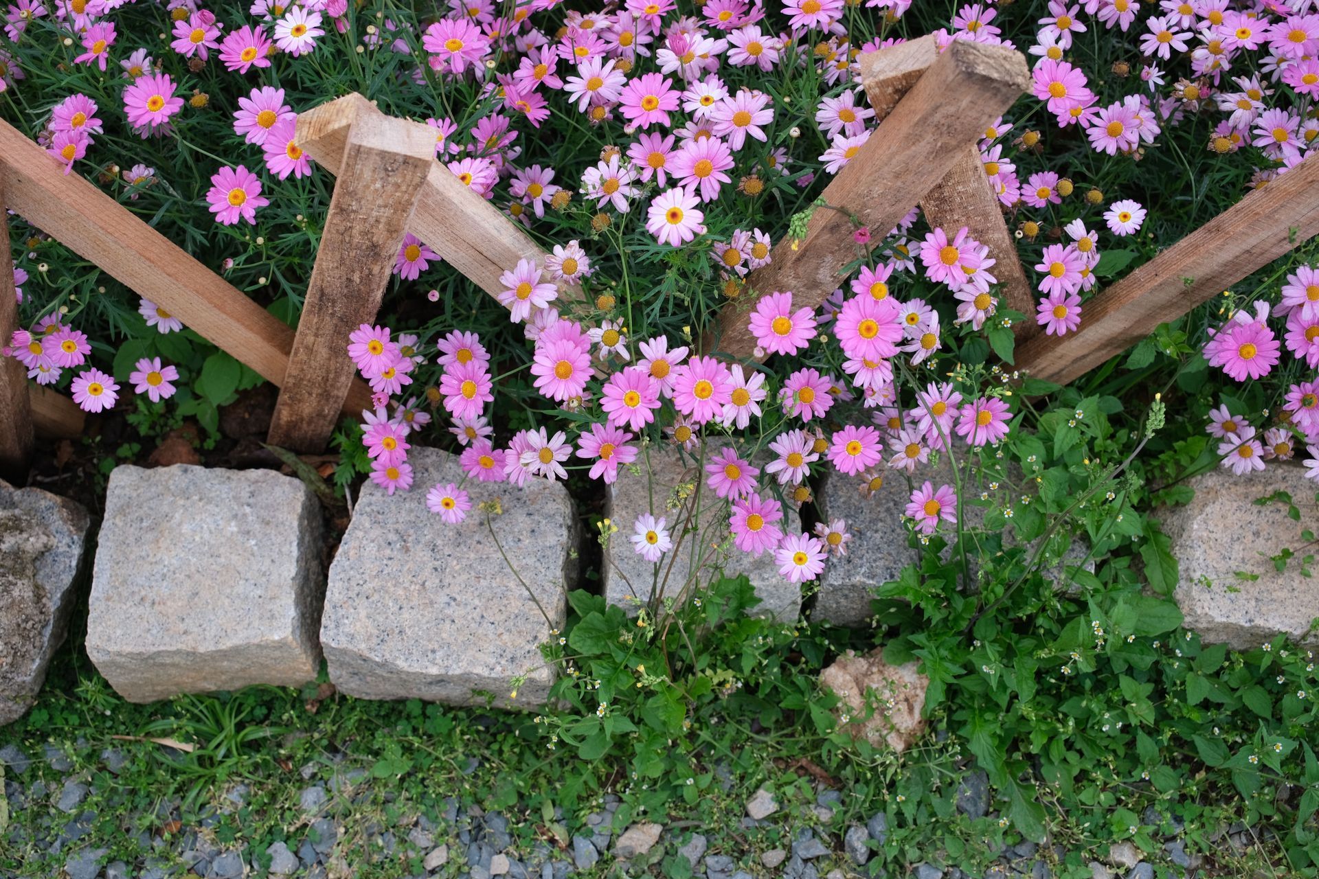 A Garden Edge With A Black Mailbox — Alex's Vegetation in Port Macquarie, NSW